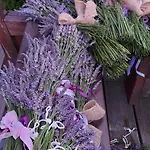 Villa Lawendowy Zakatek