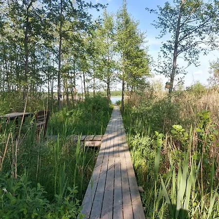 Lawendowy Zakątek Willa *