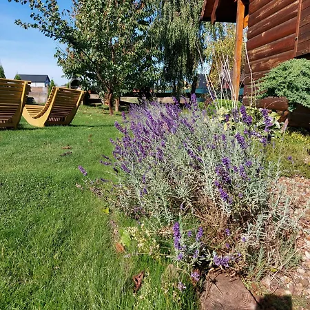 Willa Lawendowy Zakątek Boszkowo