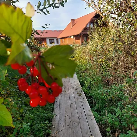 Willa Lawendowy Zakątek