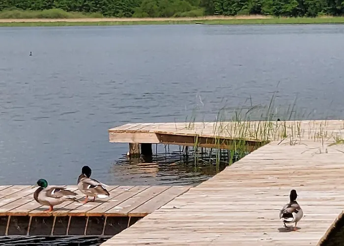 Lawendowy Zakatek Villa Boszkowo