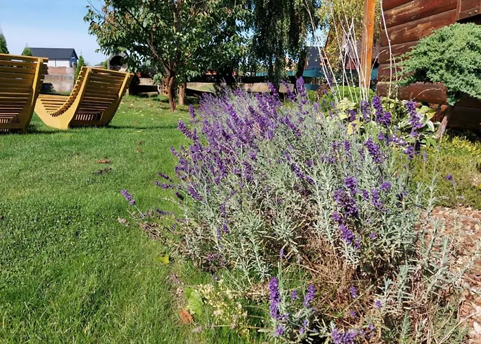 Villa Lawendowy Zakatek Boszkowo