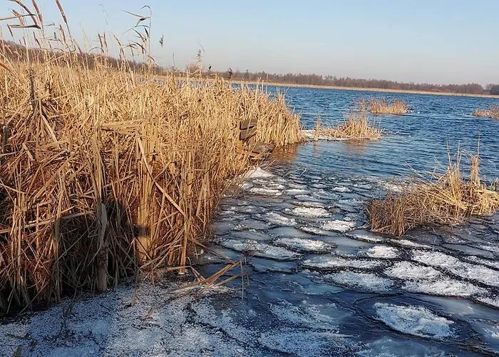 Lawendowy Zakatek Villa