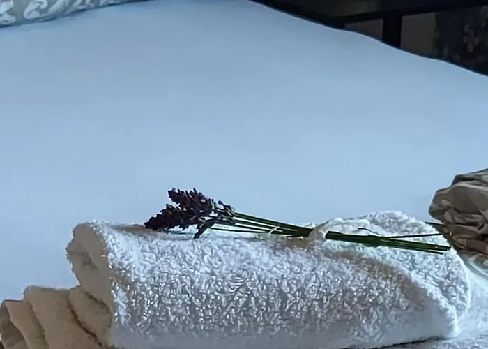 Lawendowy Zakatek Boszkowo